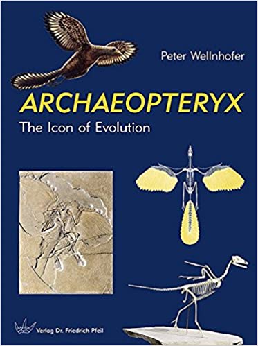 Archaeopteryx the icon of evolution