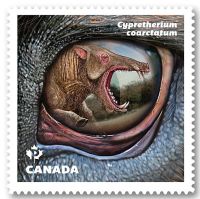 Cypretherium on stamp of Canada 2016