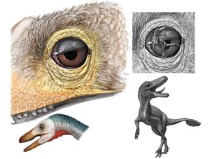 Sketch of Troodon stamp of Canada 2016