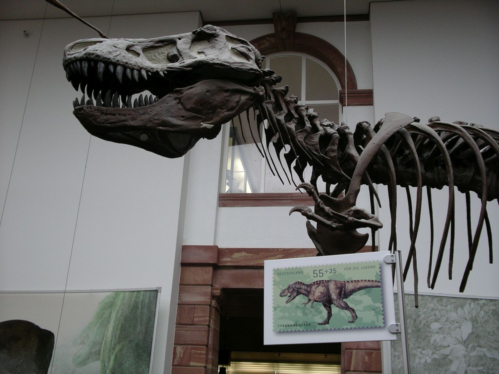 Enlarged images of Tyrannosaurus rex stamp, next to its skeleton