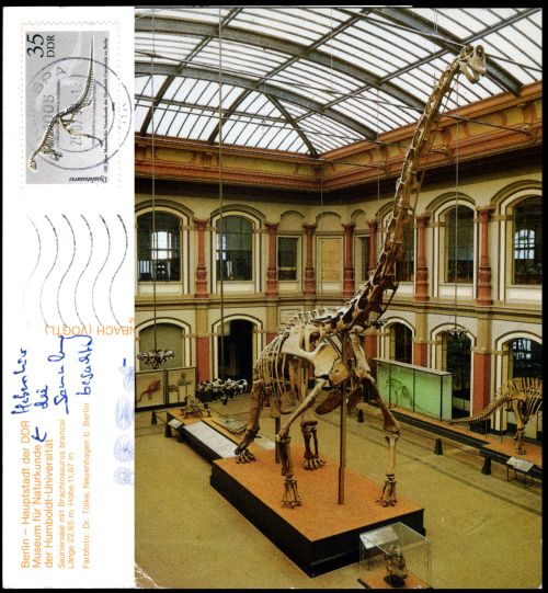 The skeleton of Brachiosaurus brancai as it was mounted between 1937 and 2007 on stamp of German Democratic Republic 1990