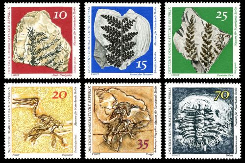 Fossils from collection of Natural Science Museum in Berlin on stamps of German Democratic Republic 1973