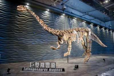 fossil of Lufengosaurus magnus in Hong Kong's museum of science