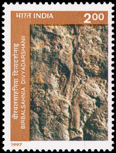 Fossil of Birbalsahnia divyadarshanii on stamp of India 1997