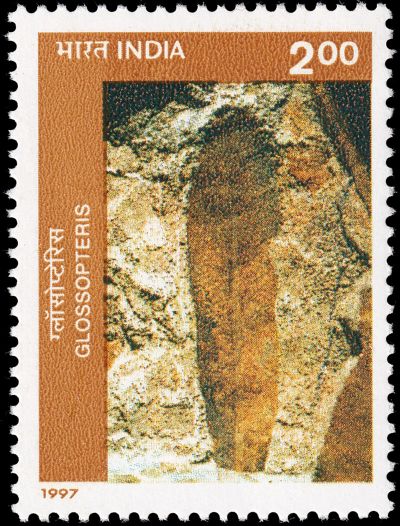 Fossil of Glossopteris on stamp of India 1997