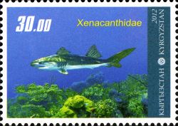 Xenacanthidae on stamp of Kyrgyzstan 2012