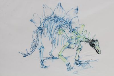 Stegosaurus on artwork of Bryan Kneale