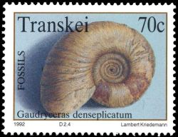 Gaudryceras denseplicatum fossil on stamp of Transkei 1992
