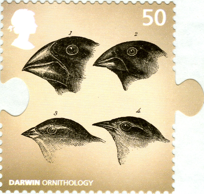 Galapagos Finches on stamp of UK 2009