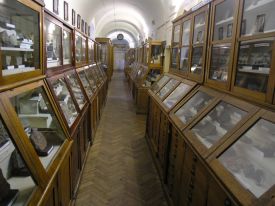 Paleontology museum of Lvov National University