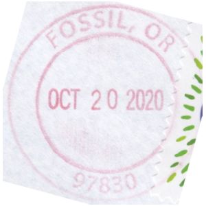 Postmark of Dinosaur town in Colorado, USA 2020