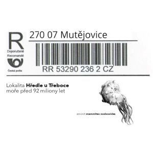 czech_2022_r-label_6
