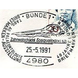 Skull of toothed whales Eosqualodon on postmark of Germany 1991