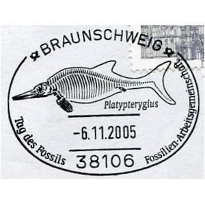 Platypteryglus on postmark of Germany 2005