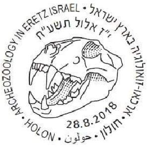 Skull of Lioness from Late Bronze Age on commemorative postmark of Israel 2018