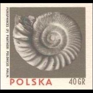 Ammonite on imprinted stamp from Postal Stationary of Poland 1970