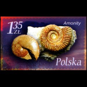 Ammonites on imprinted stamp from Postal Stationary of Poland 2007