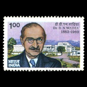 Geologist and Paleontologist D.N. Wadia on stamp of India 1984