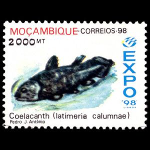 Coelacanth, Latimeria chalumnae on stamp of Mozambique 1998