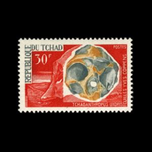 Skull of Chadanthropus uxoris on stamp of Chad 1966