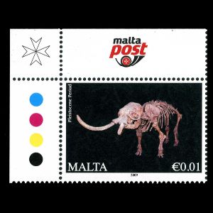 Fossil dwarf elephant Elephas falconeri on reprinted definitive stamp of Malta 2011