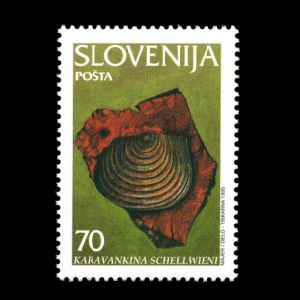 Brachiopod Karavankina schellwieni on fossil stamp of Slovenia 1995, Click for details