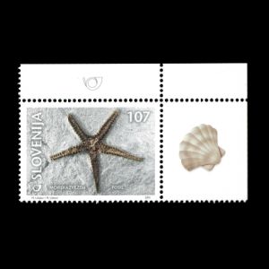 Fossil of sea star on stamp of Slovenia 2001