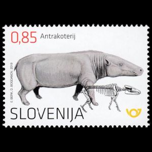 Anthracotherium Magnumon stamp of Slovenia 2019