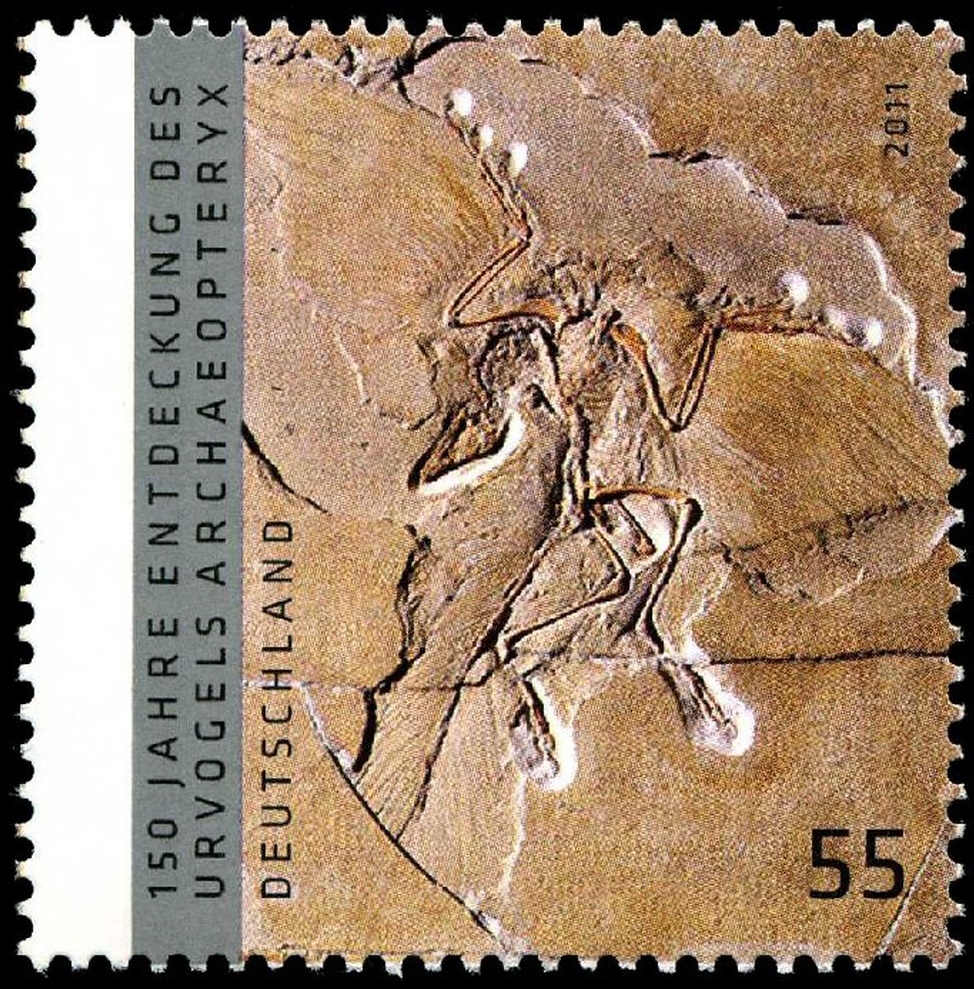 The Berlin specimen of Archaeopteryx lithographica on stamp of Germany 2011