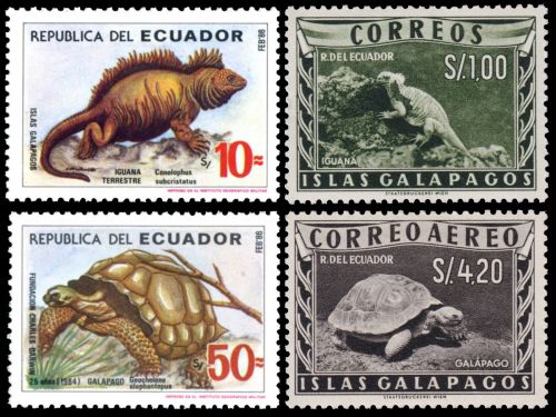 Fauna of Galapagos islands on postage stamps of Ecuador