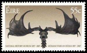 Skull and antlers of Megaloceros giganteus on stamp of Ireland