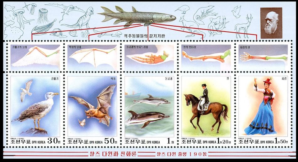 Structure of arm of different animals on postage stamp of North Korea 1999