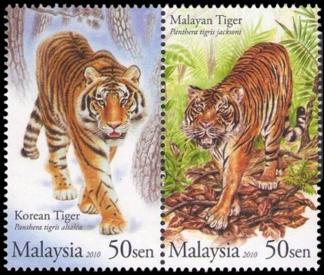 Malayan tiger, Panthera tigris jacksoni, and and Korean tiger, Panthera tigris altaica, on stamp of Malaysia 2010