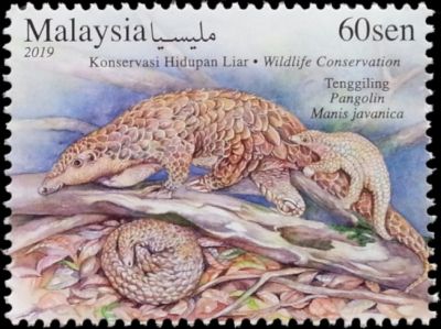 The living Sunda Pangolin (Manis javanica), on stamp of Malaysia 2019