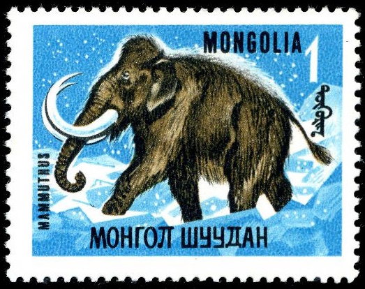 The Discovery of the Woolly Mammoth