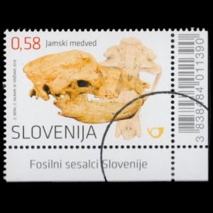 Fossil of prehistoric Oligocene fish on FDC of Slovenia 2004 Fossil of prehistoric Oligocene fish on FDC of Slovenia 2004