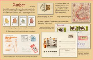 Amber, one page exhibity by Fran Adams