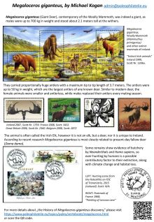 Megaloceros giganteus, one page exhibity by Michael Kogan 