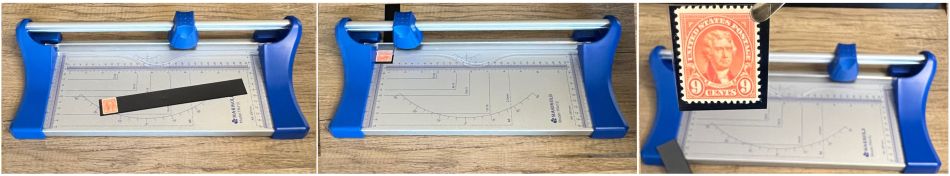 Mounts cut device