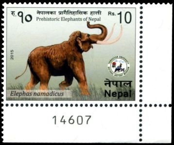 The stamp of prehistoric elephant, Elephas namadicus, Nepal 2015, under regular light