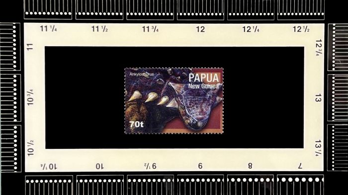 Perforation gauge