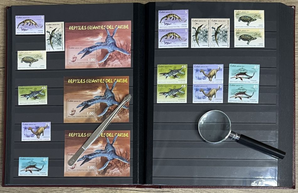 Stamp under magnifying glass