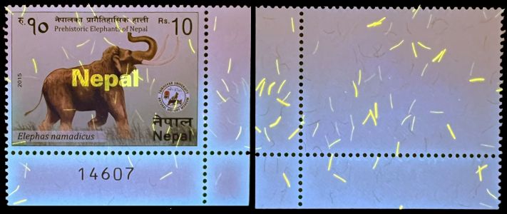 The stamp of prehistoric elephant, Elephas namadicus, Nepal 2015, under UV light