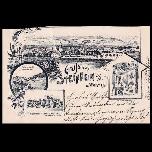 Stephanorhinus skull of postcard of Germany 1899 Stephanorhinus skull of postcard of Germany 1899