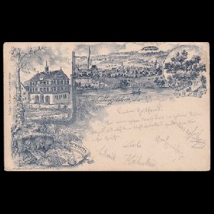 Ichthyosaur, pterosaur and other fossil of postcard of Steffelstein 1908 Ichthyosaur, pterosaur and other fossil of postcard of Steffelstein 1908