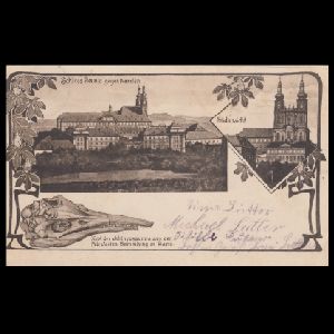 Ichthyosaur, pterosaur and other fossil of postcard of Germany 1913 Ichthyosaur, pterosaur and other fossil of postcard of Germany 1913