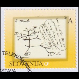 Charles Darwin's evolution tree on personalizd stamp of Slovenia 2011