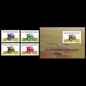 skulls of prehistoric humans on stamps of Chad 2005