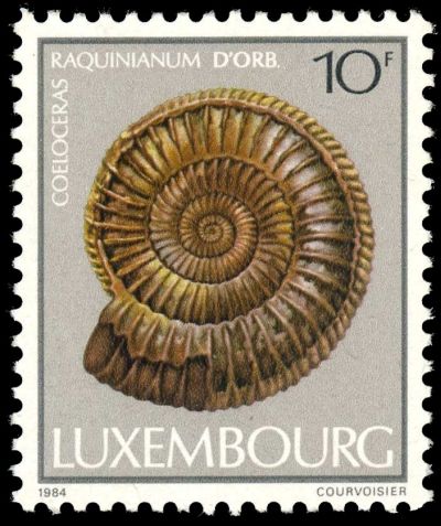 Ammonite on postage stamp of Luxembourg 1984