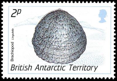Brachiopod on postage stamp of BAT 1990